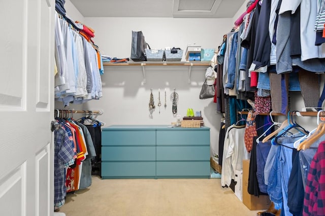 walk in closet featuring attic access and carpet