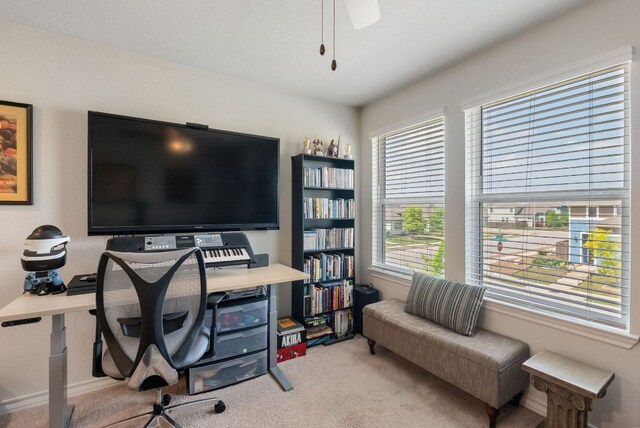 11801 Clayton Creek Ave, Austin, TX 78725 - photo 27