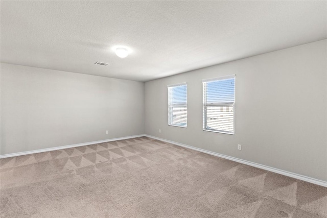 8060 Massa Dr, Round Rock, TX 78665 - unfurnished room with light carpet and a textured ceiling