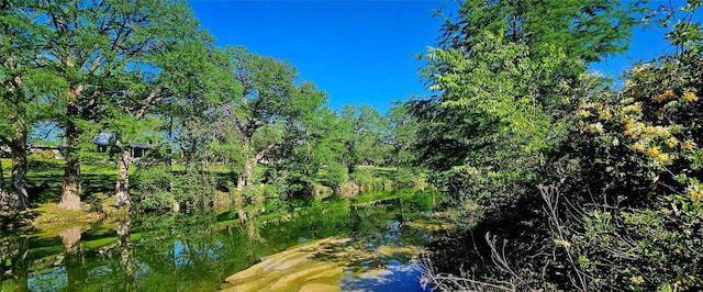 view of nature