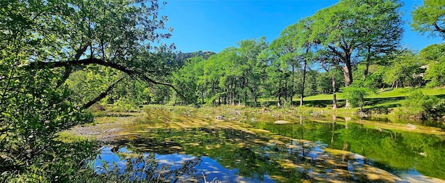 view of nature