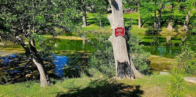 water view