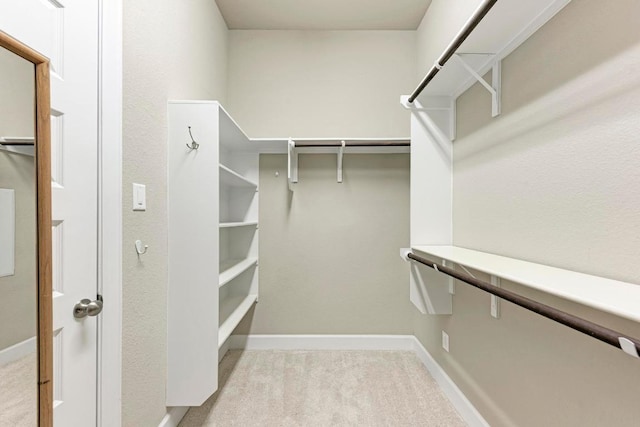 4228 Hannover Way, Round Rock, TX 78681 - spacious closet featuring light carpet