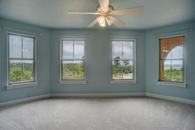 spare room with a wealth of natural light, carpet flooring, and baseboards