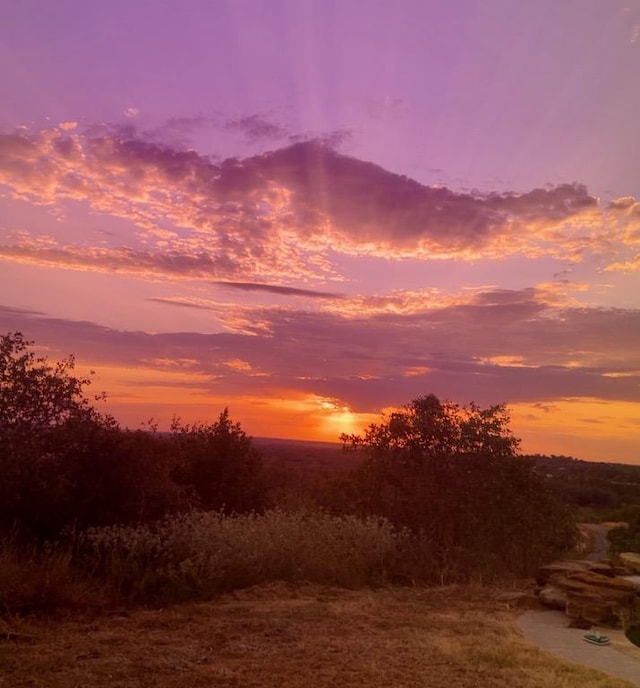 134 River Forest Dr, Bastrop, TX 78602 - view of nature at dusk