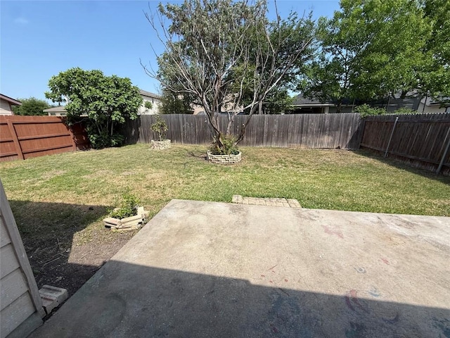 view of yard featuring a fenced backyard and a patio