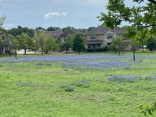 9201 Brodie Ln Unit 5002, Austin, TX 78748 - photo 22