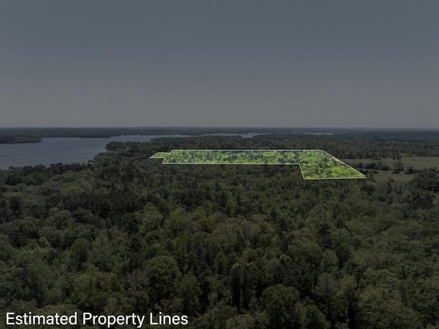 drone / aerial view with a view of trees and a water view