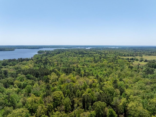 bird's eye view with a wooded view and a water view