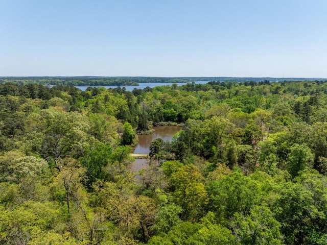 birds eye view of property featuring a wooded view and a water view
