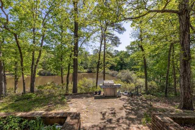 view of yard featuring a patio area and a water view