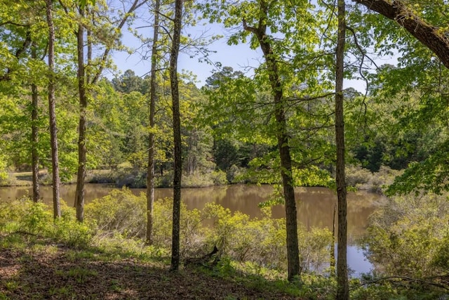 property view of water featuring a view of trees