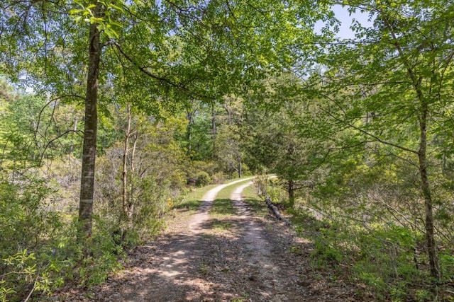 view of road with a wooded view
