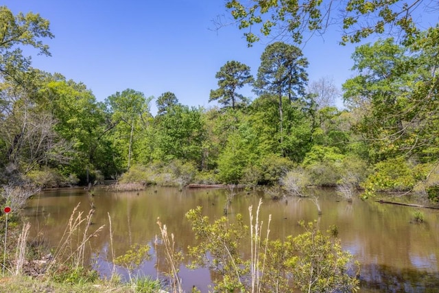 water view featuring a wooded view