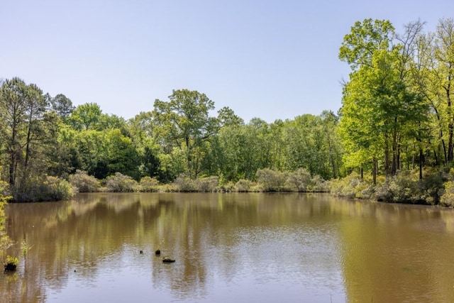 property view of water featuring a forest view