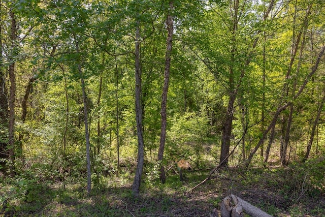 view of landscape with a view of trees