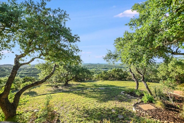 100 Mesa Dr, Wimberley, TX 78676 - photo 34