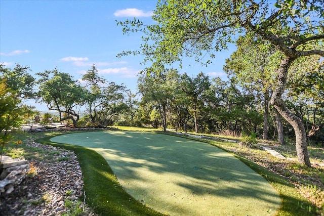 100 Mesa Dr, Wimberley, TX 78676 - view of property's community featuring a putting area