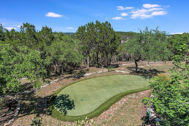 100 Mesa Dr, Wimberley, TX 78676 - view of property's community featuring a putting green