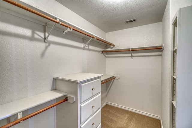 walk in closet with visible vents and carpet floors