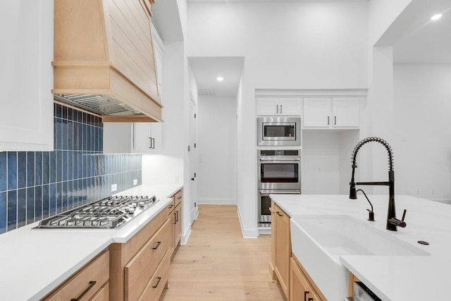 394 Leaning Rock Rdg, Austin, TX 78737 - kitchen featuring a sink, appliances with stainless steel finishes, light wood-style floors, premium range hood, and tasteful backsplash