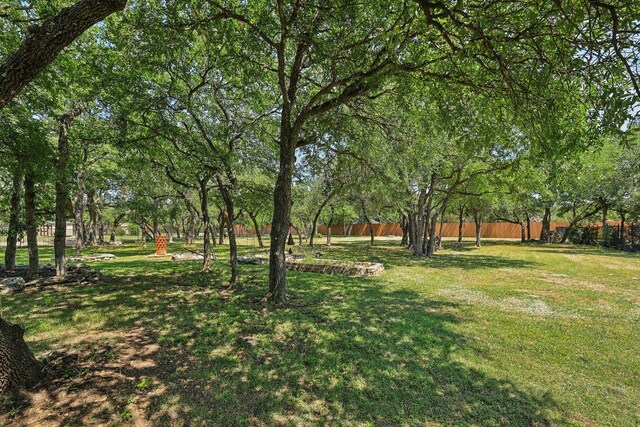 190 Estrella Xing, Georgetown, TX 78628 - view of yard