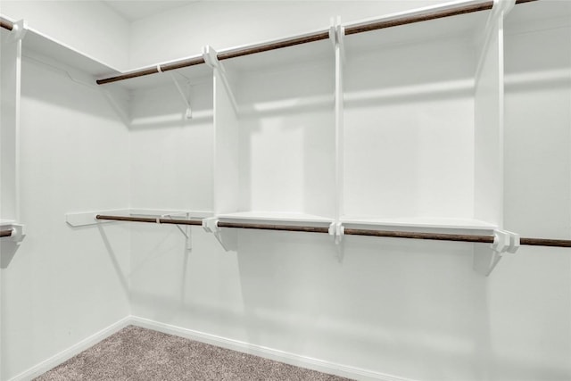 walk in closet with carpet flooring