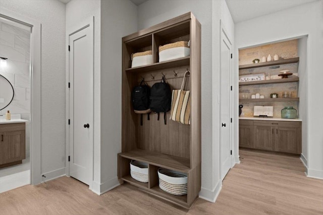 2108 Tobiano Trce, Georgetown, TX 78633 - mudroom featuring light wood-style floors and baseboards
