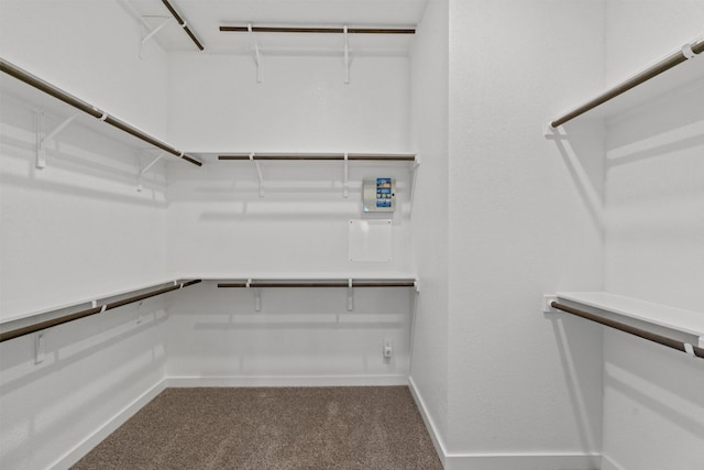 2705 Sage Ranch Dr Unit 30, Leander, TX 78641 - walk in closet featuring carpet flooring