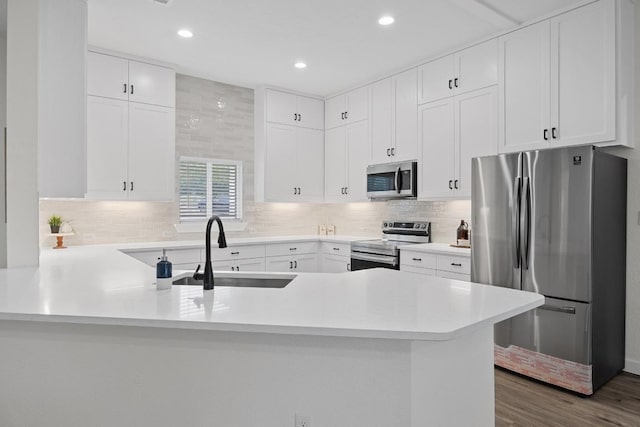 17701 Village Dr, Dripping Springs, TX 78620 - kitchen featuring appliances with stainless steel finishes, a sink, a peninsula, tasteful backsplash, and light countertops