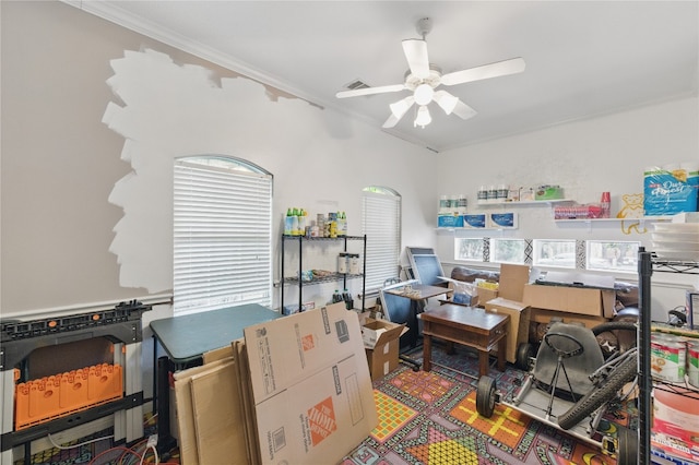 storage room featuring visible vents and a ceiling fan