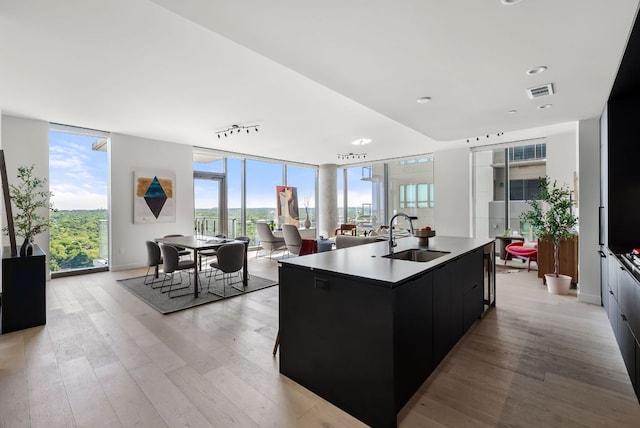 44 E Ave Unit 2301, Austin, TX 78701 - kitchen featuring a sink, a wall of windows, modern cabinets, light wood-style flooring, and dark cabinets