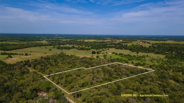 TBD County Road 329, Caldwell, TX 77836 - photo 3