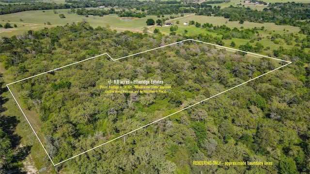 TBD County Road 329, Caldwell, TX 77836 - photo 4