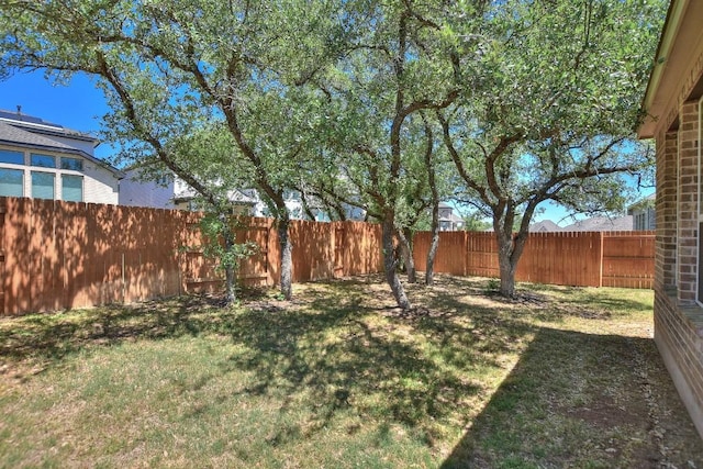 141 Green Knoll Ln, Georgetown, TX 78628 - view of yard