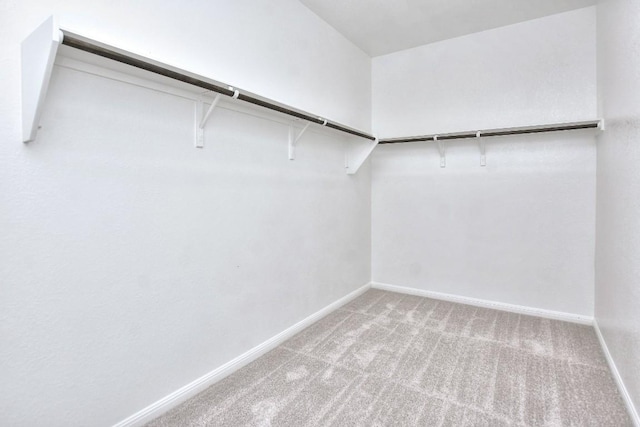 141 Green Knoll Ln, Georgetown, TX 78628 - spacious closet with carpet
