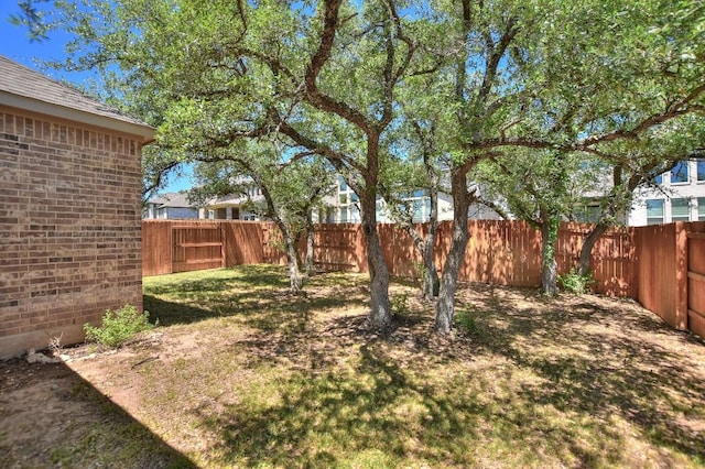 141 Green Knoll Ln, Georgetown, TX 78628 - view of yard