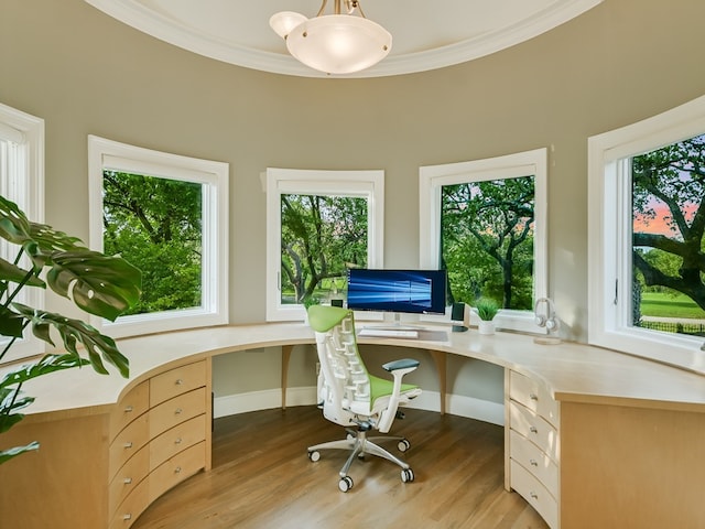 8300 Chalk Knoll Dr, Austin, TX 78735 - home office featuring plenty of natural light, light wood-style floors, built in study area, and ornamental molding