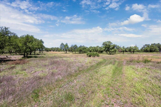 201 Medlin Creek Loop, Dripping Springs, TX 78620 - photo 9