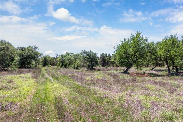 201 Medlin Creek Loop, Dripping Springs, TX 78620 - photo 15