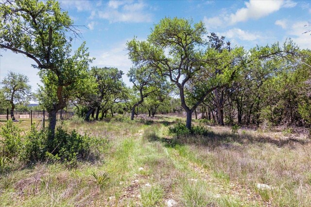 201 Medlin Creek Loop, Dripping Springs, TX 78620 - photo 14