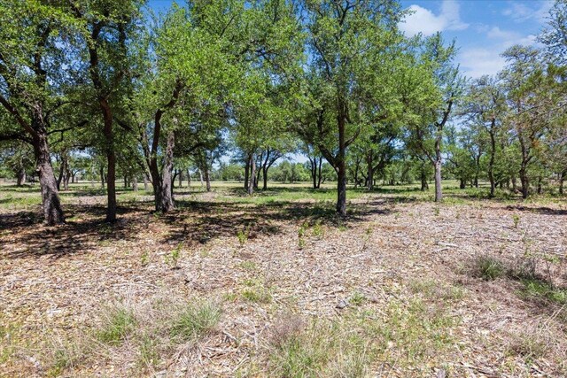 201 Medlin Creek Loop, Dripping Springs, TX 78620 - photo 5