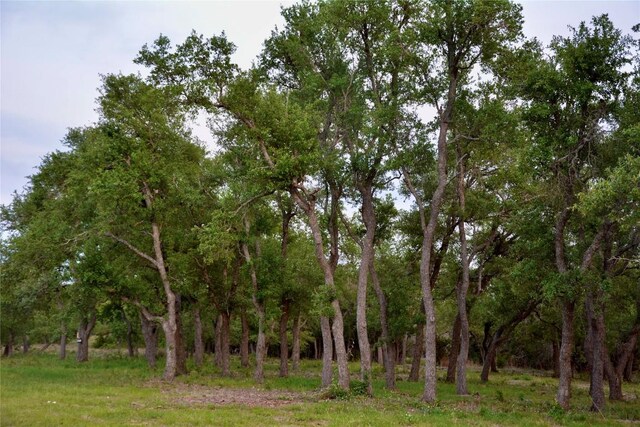 201 Medlin Creek Loop, Dripping Springs, TX 78620 - photo 10
