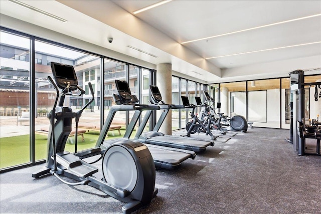 2209 S 1st St Unit 226, Austin, TX 78704 - view of gym