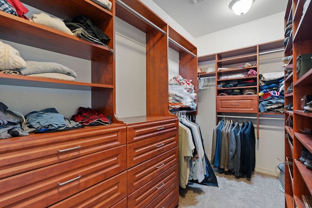 2812 Cascade Falls Dr, Austin, TX 78738 - walk in closet with carpet