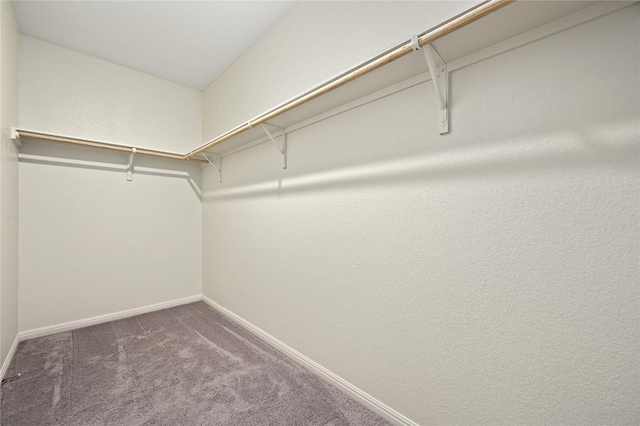 17812 Altesino Cv, Pflugerville, TX 78660 - photo 25