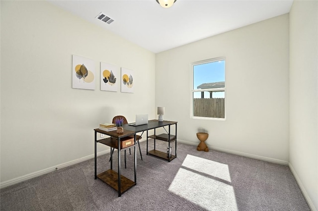17812 Altesino Cv, Pflugerville, TX 78660 - photo 28
