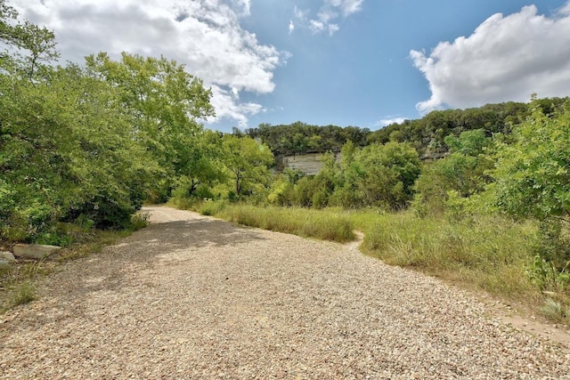 6659 Whitemarsh Valley Walk, Austin, TX 78746 - view of street with a forest view