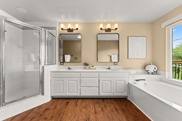 bathroom with plenty of natural light, a sink, and a shower stall