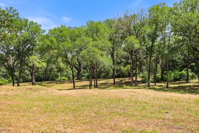 1121 Azie Morton Rd, Austin, TX 78704